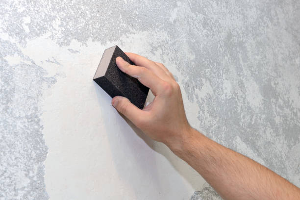 Best Mold Documentation for Insurance Claims  in Clear Lake, WI
