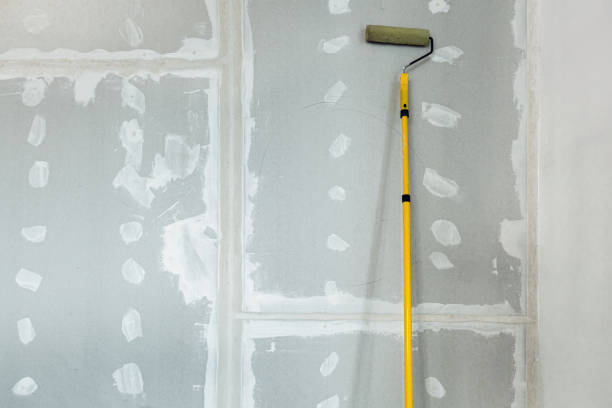 Best Mold-Related Health Consultation  in Clear Lake, WI