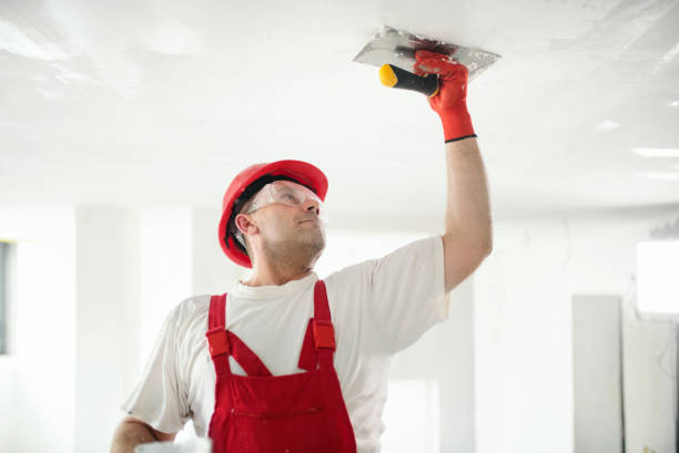 Best Mold Remediation for Healthcare Facilities  in Clear Lake, WI