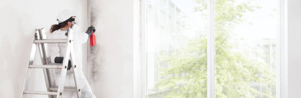 Best Forensic Mold Investigation  in Clear Lake, WI