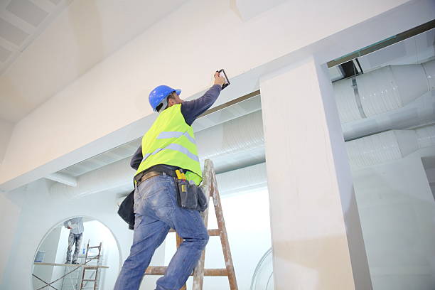 Best Emergency Mold Remediation  in Clear Lake, WI