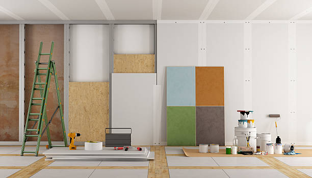 Best Mold Odor Removal Services  in Clear Lake, WI